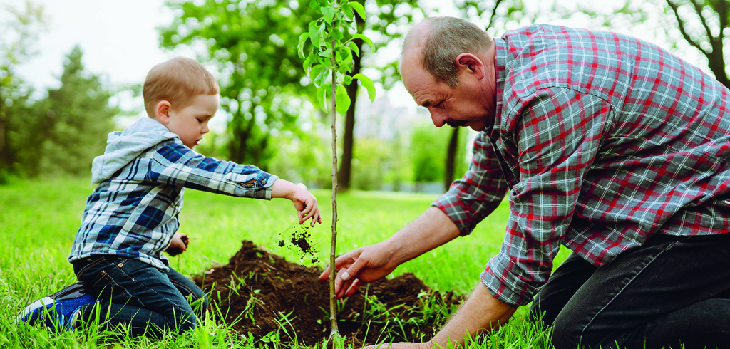 7 conseils pour planter un arbre et favoriser sa croissance